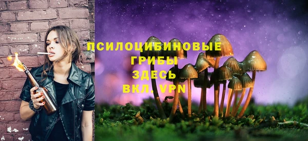 мяу мяу мука Волоколамск