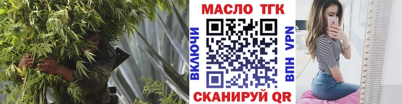 как найти   Чистополь  ТГК концентрат 